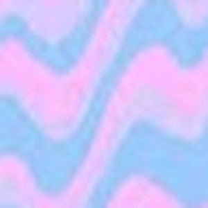 Meet your Posher, Riley